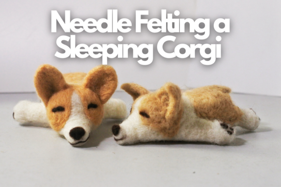 Download Needle Felting a Sleeping Corgi - Premium Resources