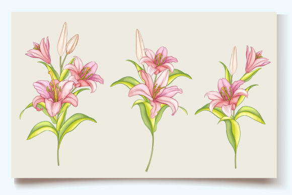 Download Hand Drawn Floral Wedding Card Set - Hand drawn floral Collection